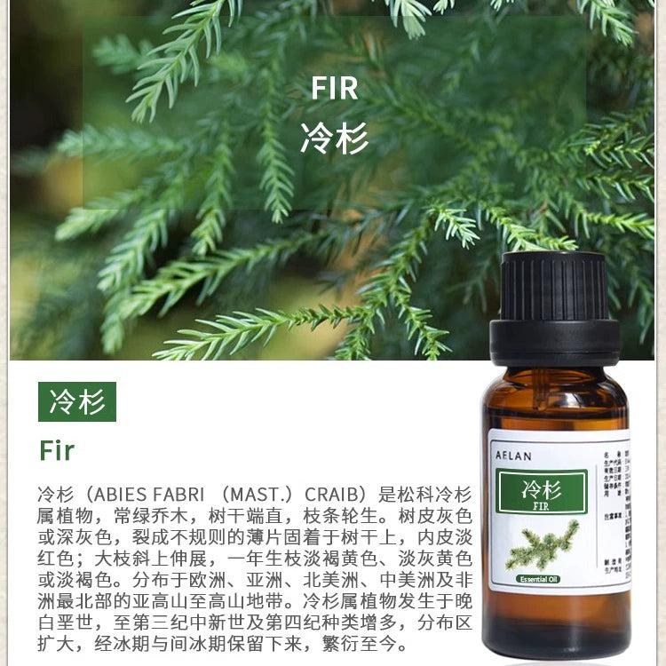 Abies Fabri Essential Oil | Fir Essential Oil | Leng Shan Jing You-Pure Chinese Herb™