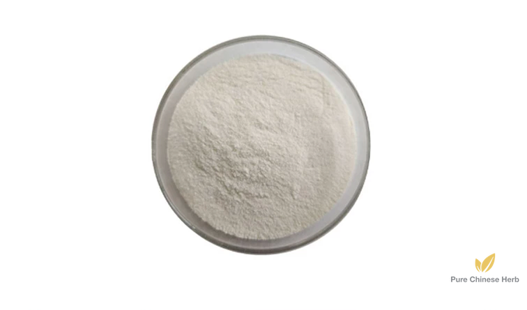 Acer Truncatum Seeds Extract 10% | Nervonic Acid | Qing Feng Zhong Zi-Pure Chinese Herb™