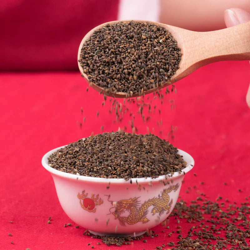 Agastache Rugosa Seeds | Blue Licorice | Purple Giant Hyssop | Huo Xiang | 500pcs/bag-Pure Chinese Herb™