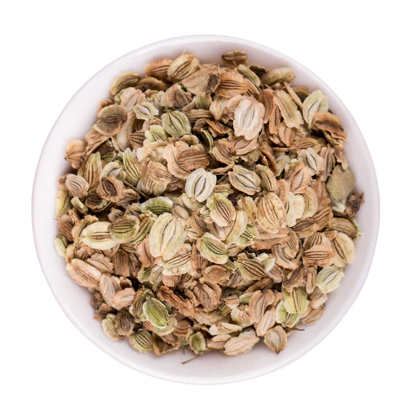 Angelica Dahurica Seeds | Dahurian Angelica | Bai Zhi | 200pcs/bag-Pure Chinese Herb™