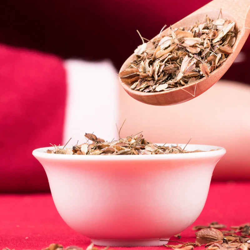 Angelica Sinensis Seeds | Dong Quai | Female Ginseng | Dang Gui | 100pcs/bag-Pure Chinese Herb™