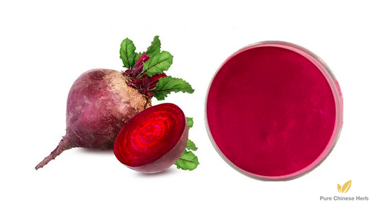 Beetroot Extract 20:1 | Beta vulgaris | Tian Cai Gen-Pure Chinese Herb™