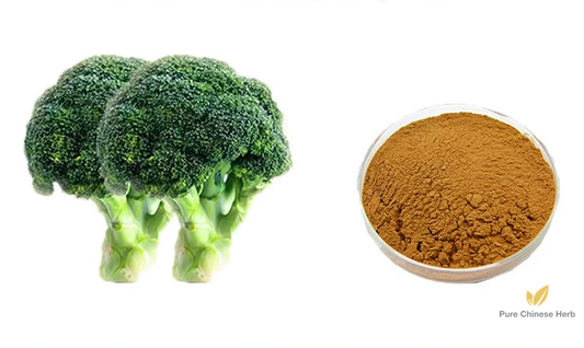 Brassica Oleracea Extract 20:1 | Wild Cabbage Extract | Gan Lan-Pure Chinese Herb™