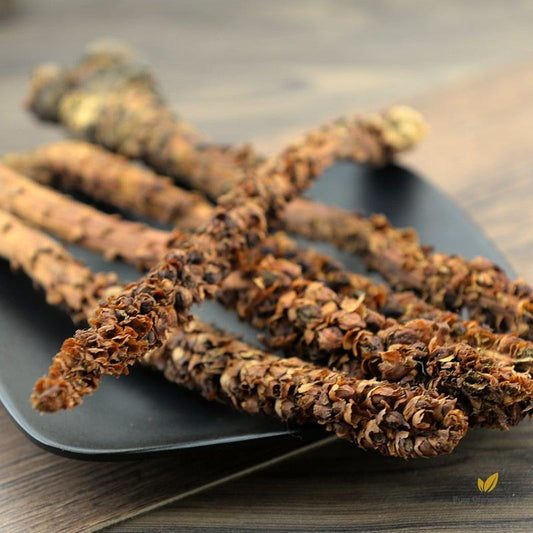 Bu Lao Cao Boschniakia Rossica Herb of Russian Boschniakia-Pure Chinese Herb™
