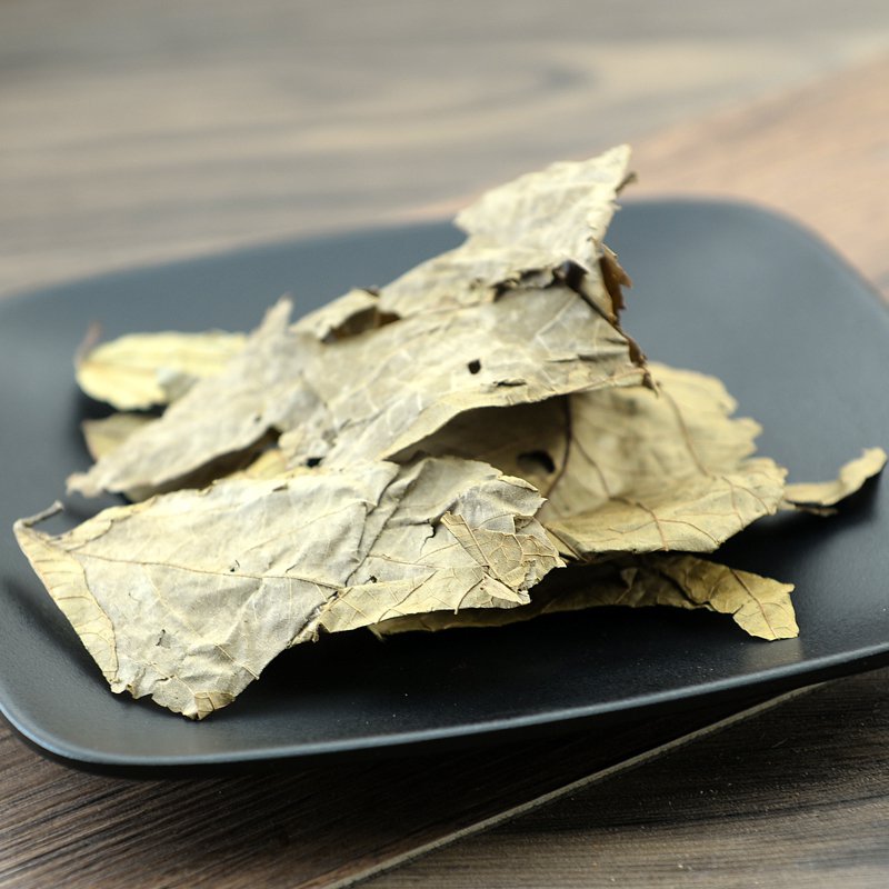 Bu Zha Ye Folium Microcotis Microcos Paniculata.-Pure Chinese Herb™