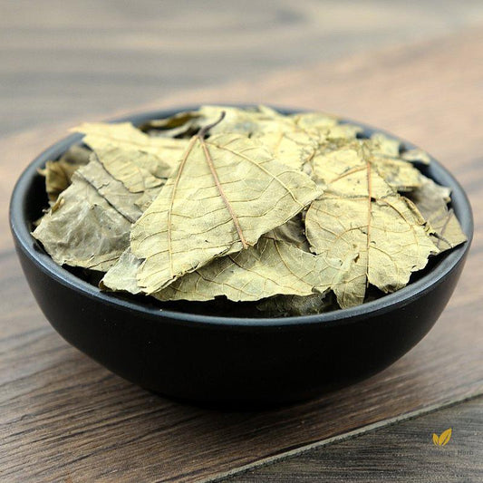 Bu Zha Ye Folium Microcotis Microcos Paniculata.-Pure Chinese Herb™