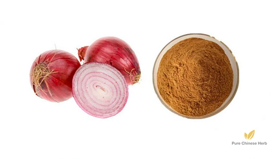 Bulb Onion Extract 20:1 | Allium Cepa | Yang Cong-Pure Chinese Herb™