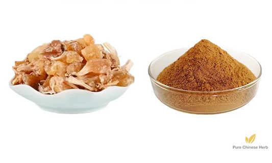 Bulbus Allii Macrostemi Extract 20:1 | Longstamen Onion Bulb | Xie Bai-Pure Chinese Herb™