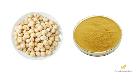 Bulbus Fritillariae Cirrhosae Extract 20:1 | Unibract Fritillary Bulb Extract | Chuan Bei Mu-Pure Chinese Herb™