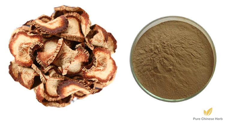 Butea Superba Extract 20:1 | Hong Die Dou-Pure Chinese Herb™