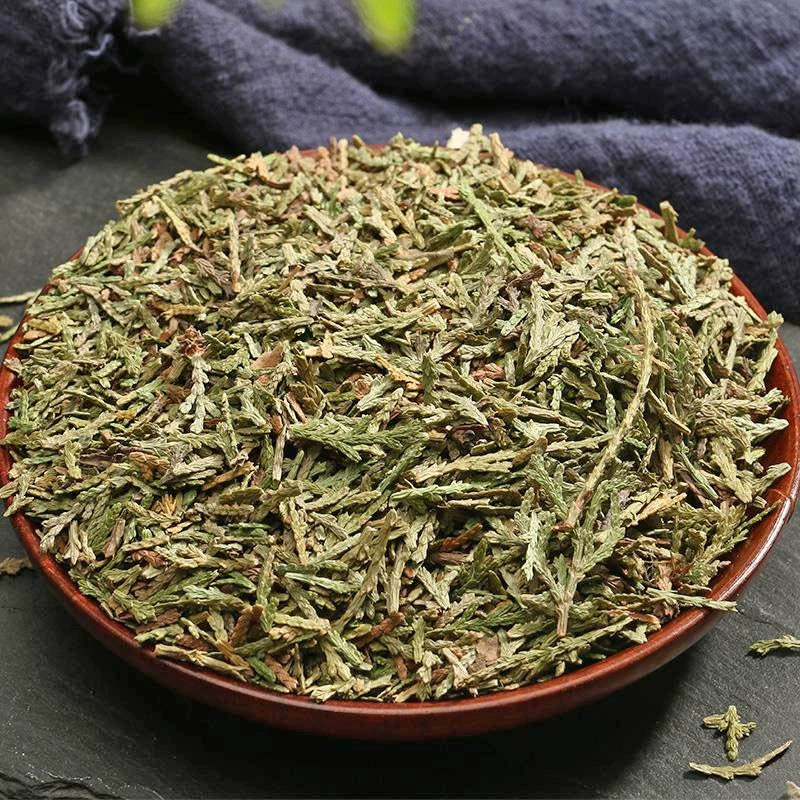 Cacumen Platycladi Powder Chinese Arborvitae Twig Herb Powder Ce Bai Ye Fen-Pure Chinese Herb™