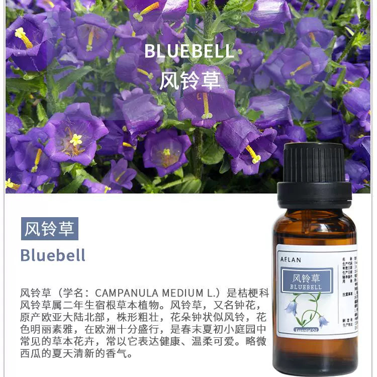 Campanula Medium Essential Oil | Bluebell Essential Oil | Feng Ling Cao Jing You-Pure Chinese Herb™