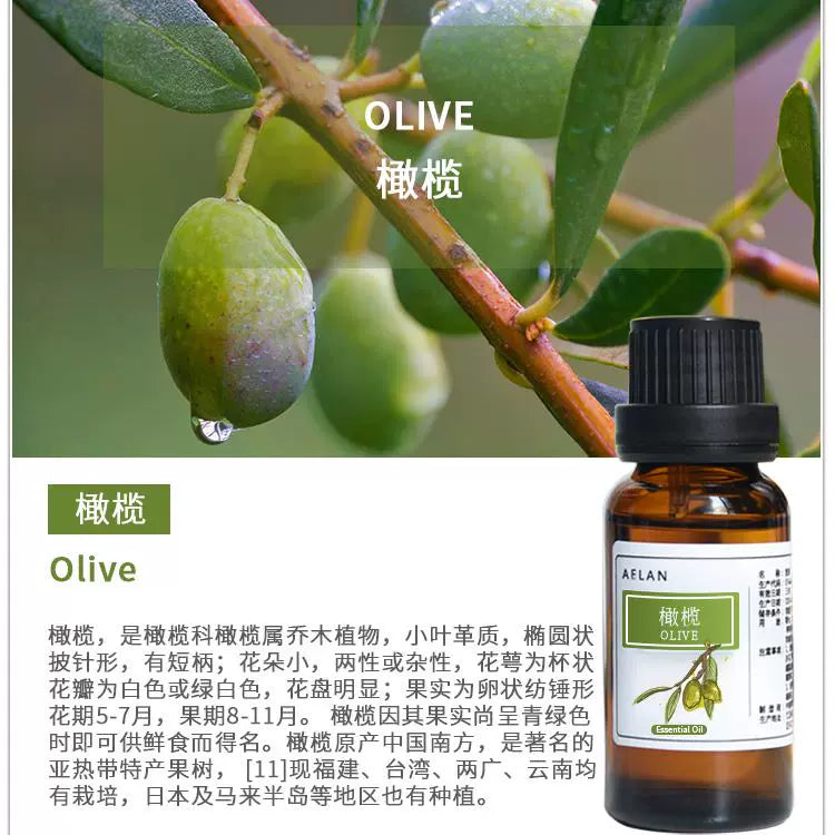 Canarium Album Essential Oil | Olive Essential Oil | Gan Lan Jing You-Pure Chinese Herb™