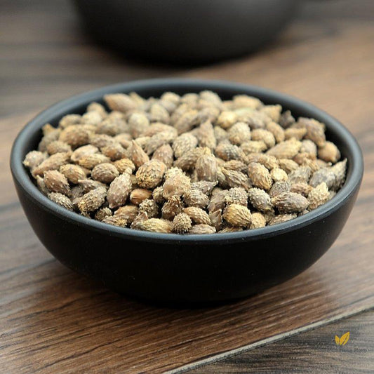 Cang Er Zi Siberian Cocklour Fruit Fructus Xanthii Xanthium Sibiricum Patr.-Pure Chinese Herb™