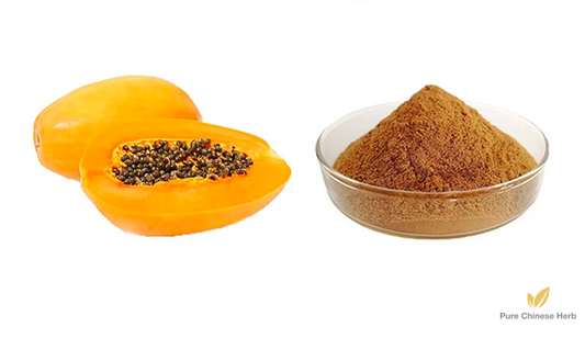 Carica Papaya Extract 20:1 | Papaya Extract | Mu Gua-Pure Chinese Herb™