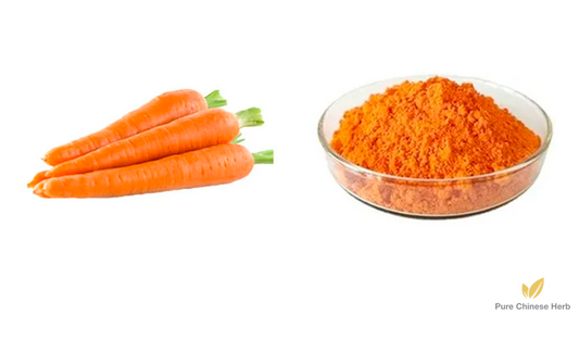 Carrot Extract 20:1 | Daucus Carota Extract | Hu Luo Bo-Pure Chinese Herb™