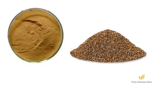 Celery Seed Extract 20:1 | Apium Graveolens Extract | Qin Cai Zi-Pure Chinese Herb™