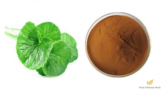 Centella Asiatica Extract | Asiatic Pennywort | Ji Xue Cao-Pure Chinese Herb™