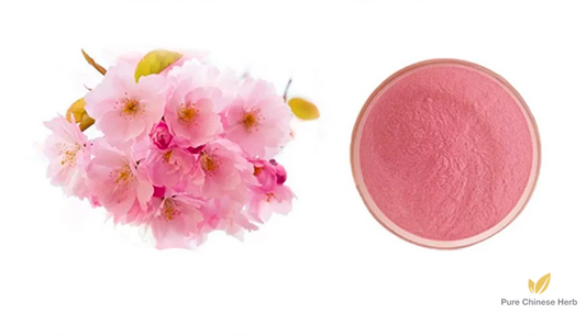 Cherry Blossom Extract 20:1 | Prunus Subg. | Ying Hua-Pure Chinese Herb™