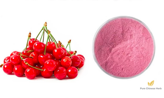 Cherry Extract 20:1 | Prunus Pseudocerasus Extract | Ying Tao-Pure Chinese Herb™