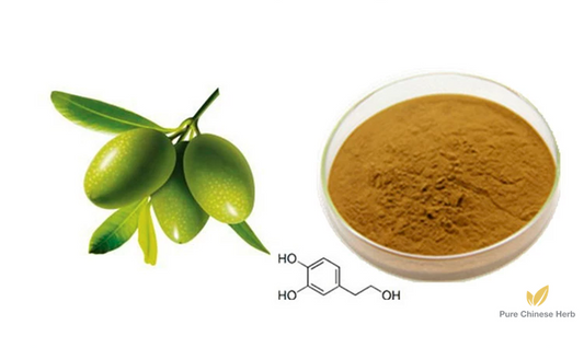 Chinese Olive Leaf Extract 20:1 | Canarium Album | Qing Guo Ye-Pure Chinese Herb™