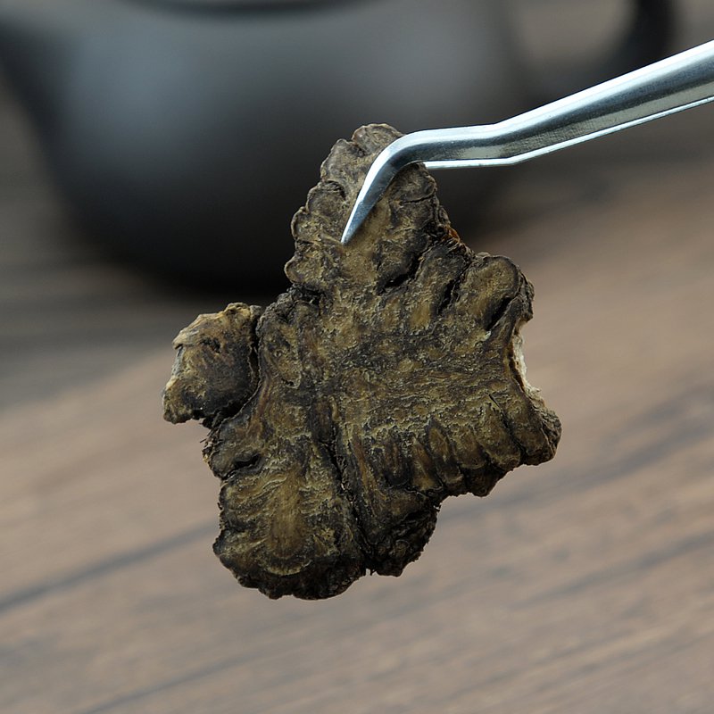 Chuan Xiong Rhizoma Chuanxiong Szechuan Lovage Rhizome-Pure Chinese Herb™