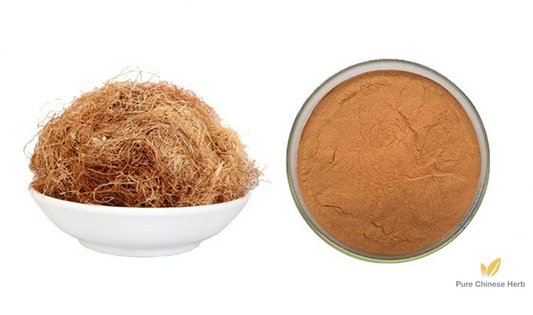 Corn Stigma Extract 20:1 | Stigma Maydis | Yu Mi Xu-Pure Chinese Herb™