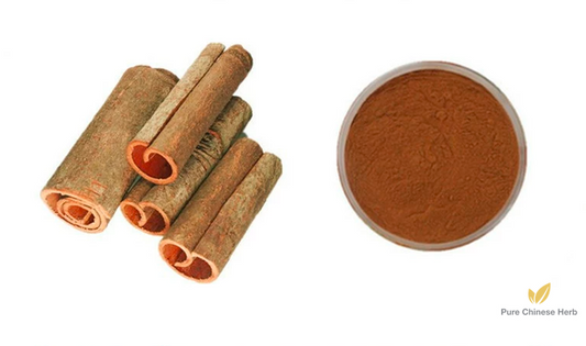 Cortex Cinnamomi Extract 20:1 | Cinnamon Bark Extract | Rou Gui Pi-Pure Chinese Herb™