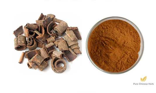 Cortex Magnoliae Officinalis Extract 20:1 | Officinal Magnolia Bark Extract | Hou Pu-Pure Chinese Herb™