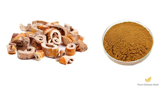 Cortex Mori Extract 20:1 | White Mulberry Root-bark | Sang Bai Pi-Pure Chinese Herb™
