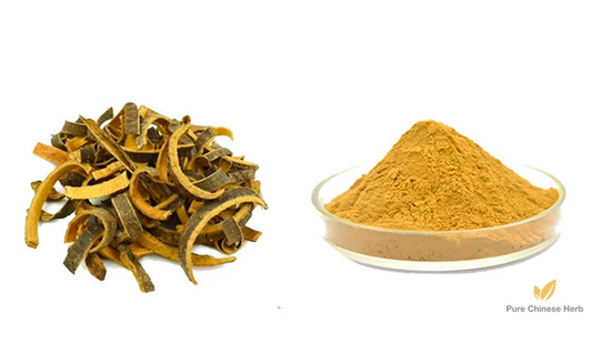Cortex Phellodendri Extract 20:1 | Amur Corktree Bark Extract | Huang Bo Ti Qi Wu-Pure Chinese Herb™