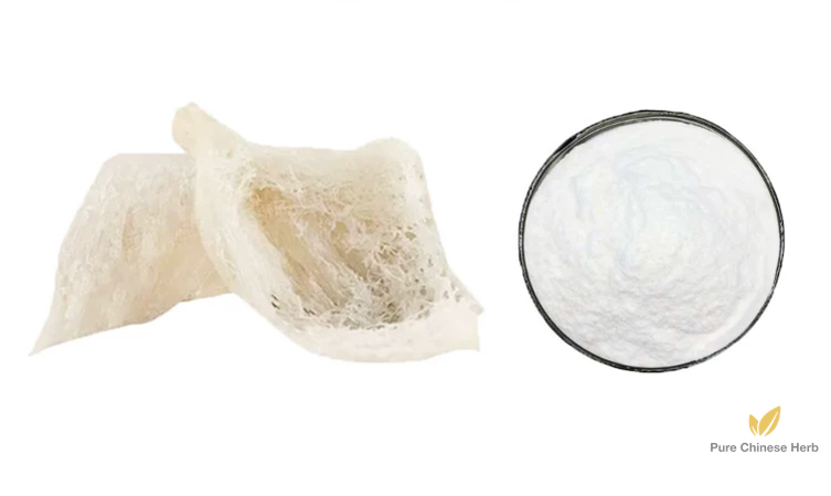 Cubilose Extract 20:1 | Swallow Nest Extract | Yan Wo-Pure Chinese Herb™