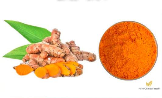 Curcumin 98% | Rhizoma Curcumae Longae Extract | Jiang Huang-Pure Chinese Herb™