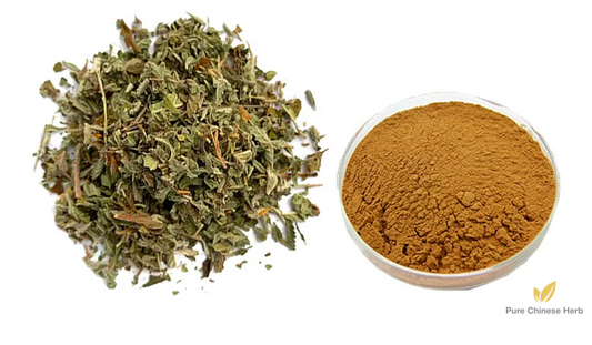 Damiana Extract 50:1 | Turnera Diffusa | Xi Ban Ya Long Kui-Pure Chinese Herb™