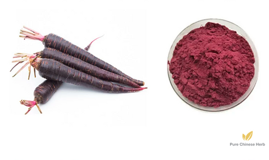 Daucus Carota Extract 20:1 | Purple Carrot Extract | Zi Hu Luo Bo-Pure Chinese Herb™