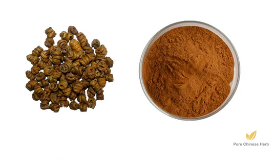 Dendrobium Polysaccharide 30% | Dendrobium Candidum Extract | Shi Hu-Pure Chinese Herb™