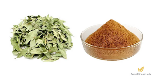 Dogbane Leaf Extract 20:1 | Folium Apocyni Veneti | Luo Bu Ma Ye-Pure Chinese Herb™
