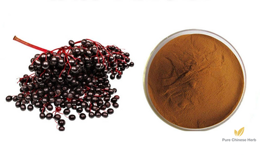 Elderberry Extract 20:1 | Sambucus Williamsii Extract | Jie Gu Mu-Pure Chinese Herb™