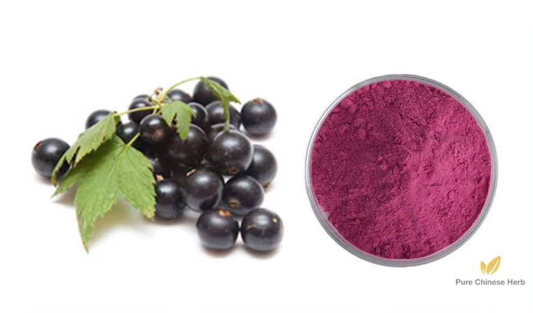 Euterpe Badiocarpa Extract 20:1 | Acai Berry Extract | Ba Xi Mei-Pure Chinese Herb™