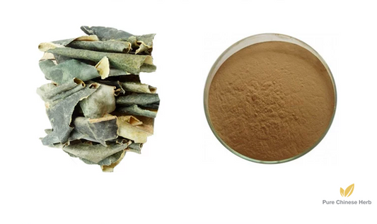 Exocarpium Benincasae Extract 20:1 | Waxgourd Peel Extract | Dong Gua Pi-Pure Chinese Herb™