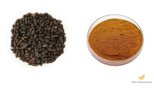 Faeces Trogopterori Extract 20:1 | Trogopterus Dung Extract | Wu Ling Zhi-Pure Chinese Herb™