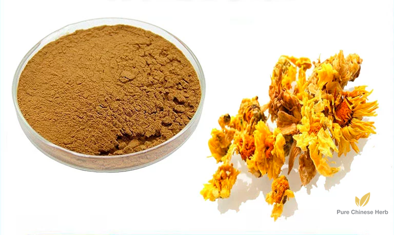 Flos Chrysanthemi Extract 20:1 | Concentrated Florists Chrysanthemum Flower Extract | Ju Hua-Pure Chinese Herb™