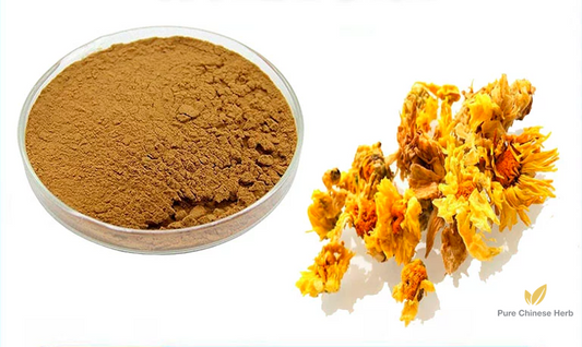 Flos Chrysanthemi Extract 20:1 | Concentrated Florists Chrysanthemum Flower Extract | Ju Hua-Pure Chinese Herb™