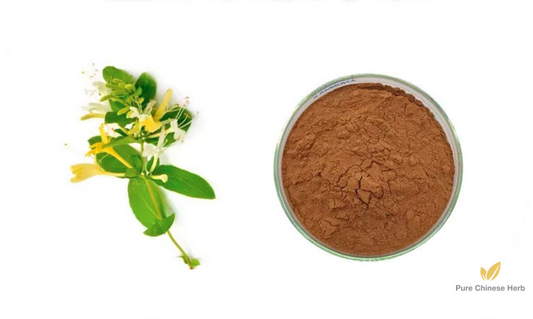 Flos Lonicerae Extract 20:1 | Honeysuckle Flower Extract | Jin Yin Hua-Pure Chinese Herb™