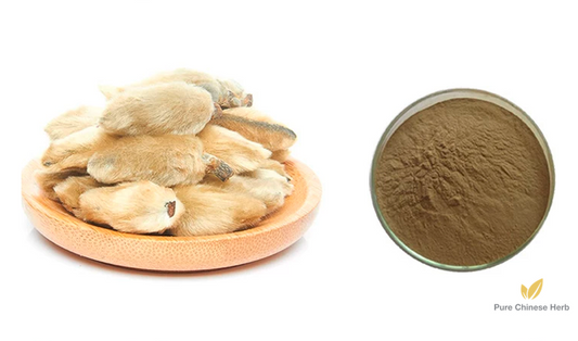 Flos Magnoliae Extract 20:1 | Blond Magnolia Flower Extract | Xin Yi Hua-Pure Chinese Herb™