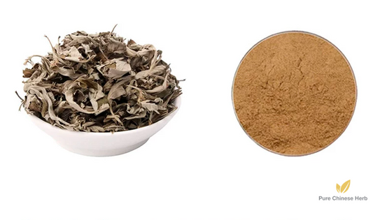 Folium Artemisiae Argyi Extract 20:1 | Argy Wormwood Leaf | Ai Ye-Pure Chinese Herb™