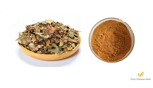 Folium Crataegi Extract 20:1 | Crataegus Pinnatifida | Shan Zha Ye-Pure Chinese Herb™