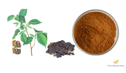 Folium Eucommiae Extract 20:1 | Eucommia Folium Extract | Du Zhong Ye-Pure Chinese Herb™