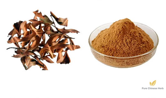 Folium Pyrrosiae Extract 20:1 | Pyrrosia Leaf | Shi Wei Ye-Pure Chinese Herb™