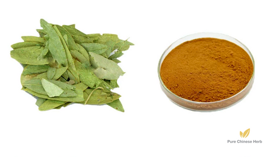 Folium Sennae Extract 20:1 | Senna Leaf Extract | Fan Xie Ye-Pure Chinese Herb™